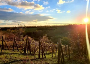 Beszédélmény Módszertan