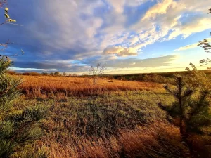 Beszédélmény Módszertan